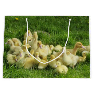 bird, duck, duckling, yellow, nature, cute, baby, large gift bag