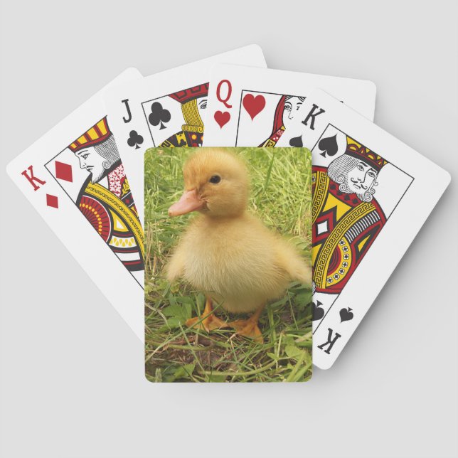 bird, duck, duckling, yellow, nature, cute, baby, playing cards (Back)