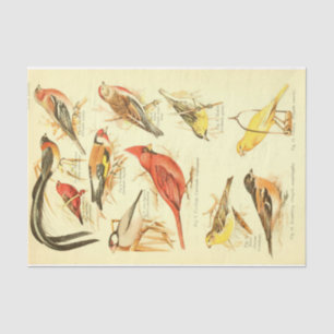 Bird Ephemera Decoupage Cardinal Tissue Paper