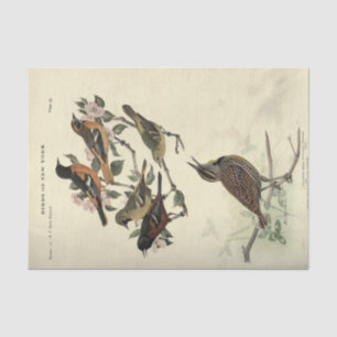 Bird Ephemera Decoupage Floral Flowers Tissue Paper