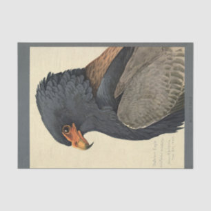 Bird Ephemera Decoupage Gray Eagle Tissue Paper