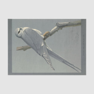 Bird Ephemera Decoupage Gray Hawk Tissue Paper