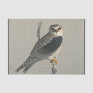 Bird Ephemera Decoupage Grey Hawk Tissue Paper