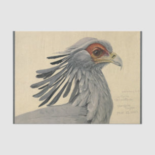 Bird Ephemera Decoupage Grey Tissue Paper