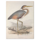 Bird Ephemera Decoupage Vintage Heron Nautical