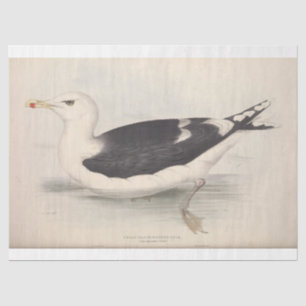 Bird Ephemera Decoupage Vintage Seagull Tissue Paper