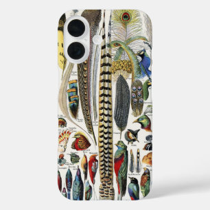Bird Feather Wildlife Antique Feathers Art Nouveau iPhone 16 Case