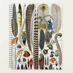 Bird Feather Wildlife Antique Feathers Art Nouveau Planner