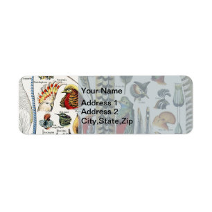 Bird Feather Wildlife Antique Feathers Art Nouveau Return Address Label