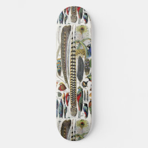 Bird Feather Wildlife Antique Feathers Art Nouveau Skateboard