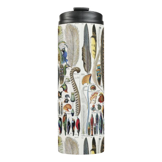Bird Feather Wildlife Antique Feathers Art Nouveau Thermal Tumbler (Front)