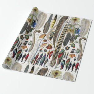 Bird Feather Wildlife Antique Feathers Art Nouveau Wrapping Paper