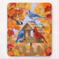 Bird Feeder Gathering Autumn Orange