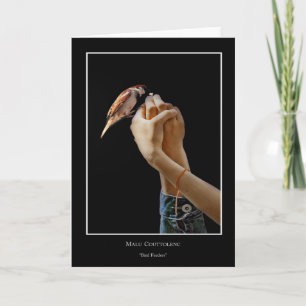 Bird Feeders Card