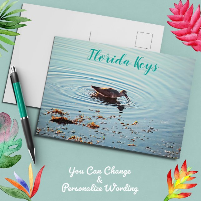 Bird Feeding at Sunset Key West Florida Postcard (Creator Uploaded)