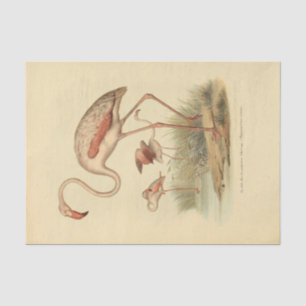 Bird Flamingo Ephemera Decoupage Tissue Paper