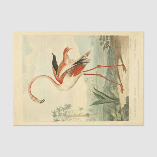 Bird Flamingo Ephemera Decoupage Tissue Paper (Front)