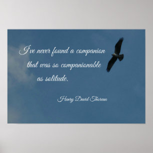 Bird flying high with quote about solitude. poster