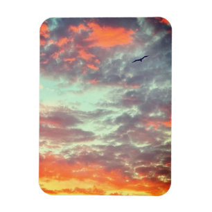 Bird Flying Pink Clouds Sky Photo Magnet