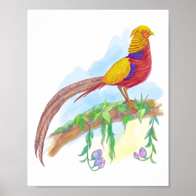 Bird Golden Pheasant Poster (Front)