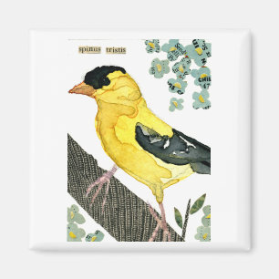 Bird: Goldfinch Magnet