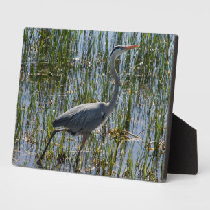Bird Great Blue Heron Photo Plaque