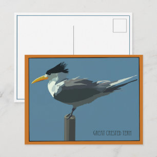 Bird--Great Crested Tern postcard