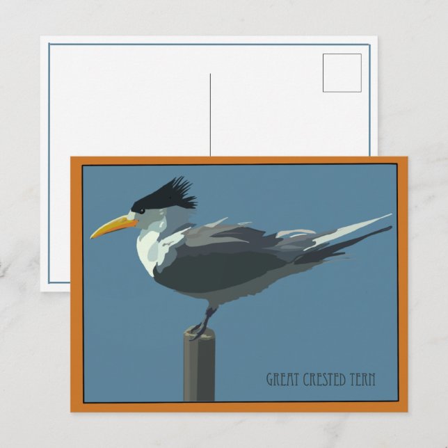 Bird--Great Crested Tern postcard (Front/Back)