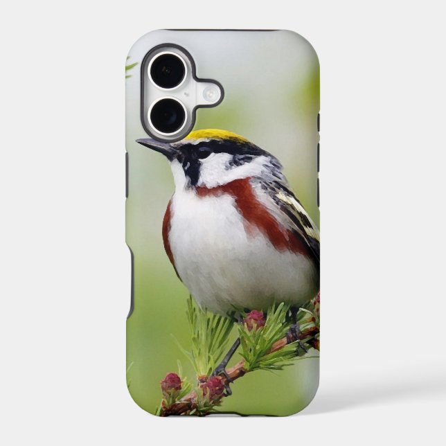 Bird grey_iphone (Back)