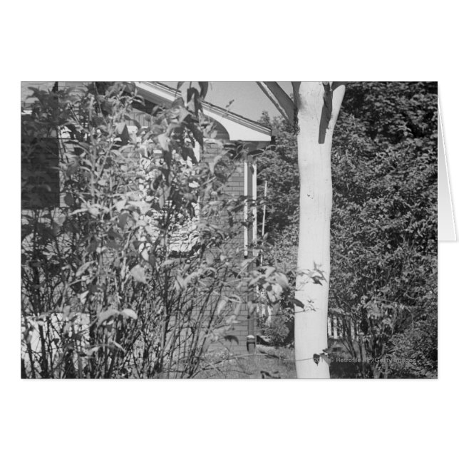 Bird house in garden (Front Horizontal)