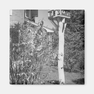 Bird house in garden magnet