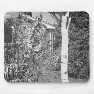 Bird house in garden mouse pad