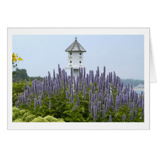 Bird House in Maine
