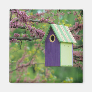 Bird House On A Redbud Tree Magnet