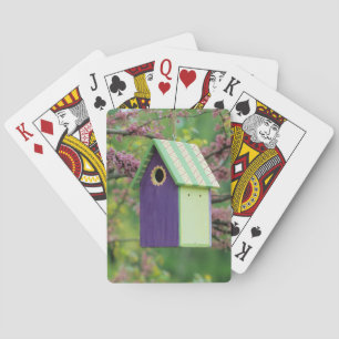 Bird House On A Redbud Tree Playing Cards