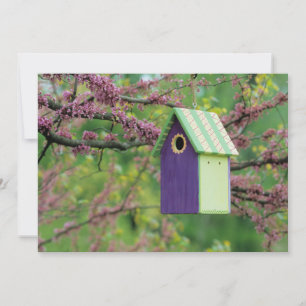 Bird House On A Redbud Tree Thank You Card