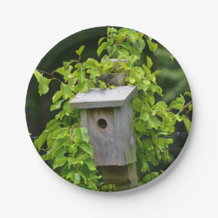 Bird House Paper Plate