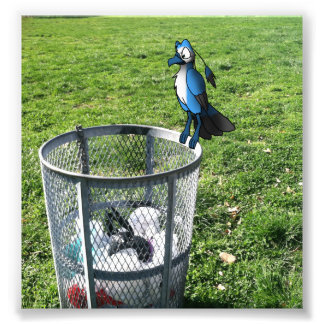 Bird Hybrid on Trash Can Photo Print