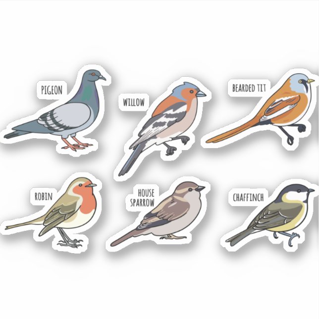 BIRD ILLUSTRATION DESIGN SET (Front)