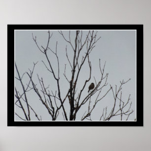 Bird in a Bare Tree Poster