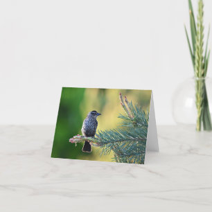 Bird in a pine tree blank notecard.  thank you card