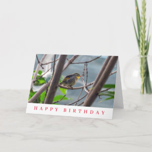 Bird in a tree birthday card