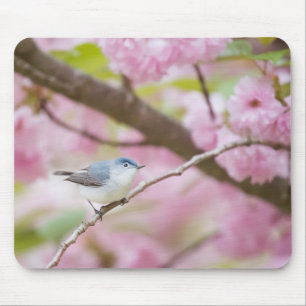 Bird in Blossom Tree Mouse Pad