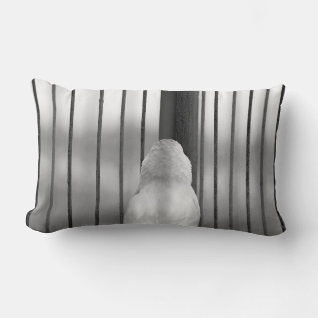 Bird in Cage Lumbar Cushion (Front)