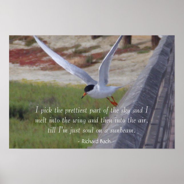 Bird in Flight - Inspirational Poster (Front)