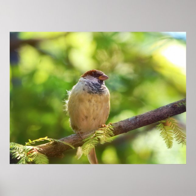 Bird in Jade Poster (Front)