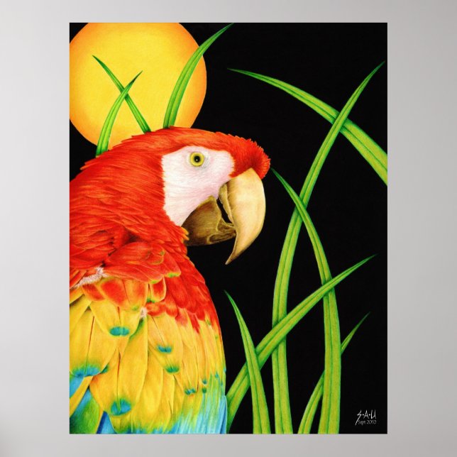Bird in Paradise Poster (Front)