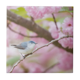 Bird in Pink Blossom Tree Ceramic Tile