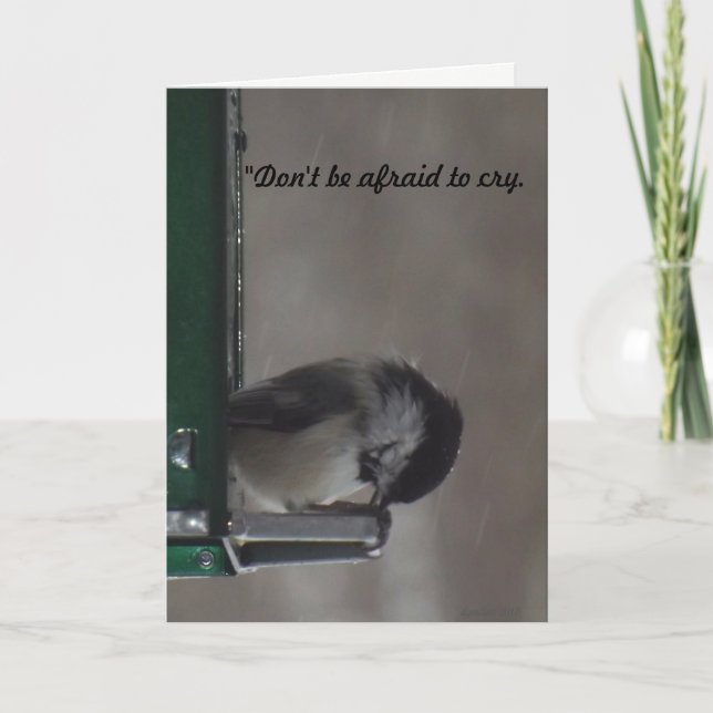 Bird in Rain Sympathy Card (Front)