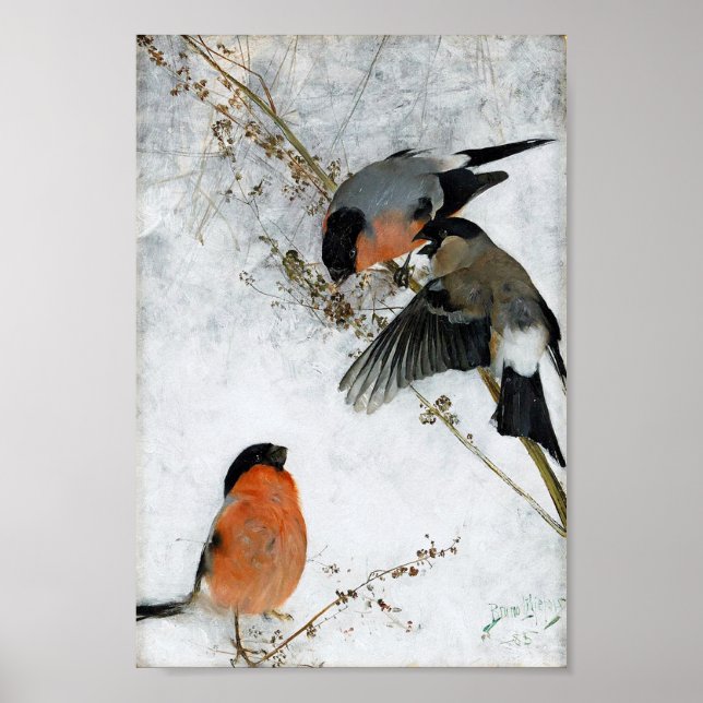 Bird in Snow, Bruno Liljefors Poster (Front)